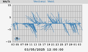 Wind Vector