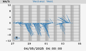 Wind Vector