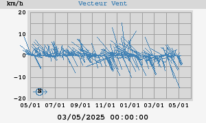 Wind Vector